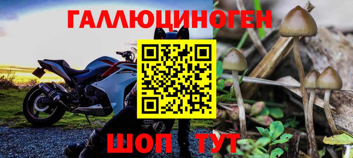 Димитровград  Псилоцибиновые грибы мухоморы  Псилоцибиновые грибы ЛСД  Вход с VPN 
